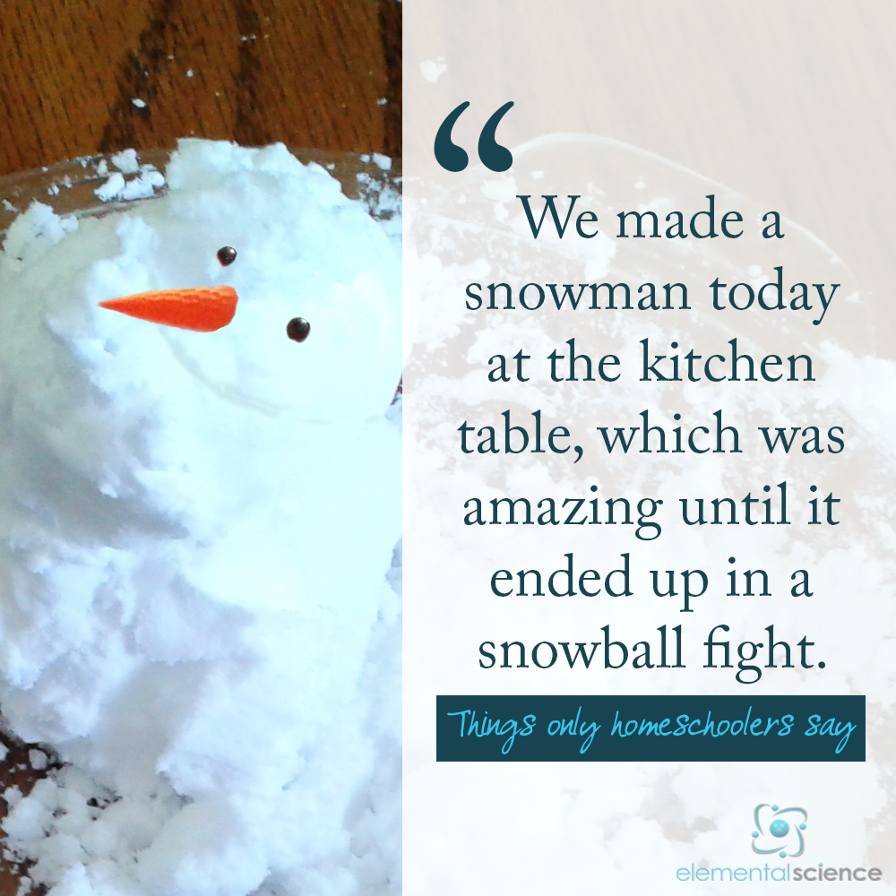 Have a laugh as you read the Indoor Snowman List Edition of Things Only Homeschoolers Say at Elemental Blogging!
