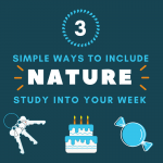 3 Simple ways to include nature study into your week