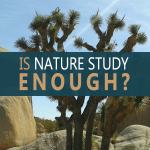 Is nature study enough for homeschool science? Your {not so} definitive answer