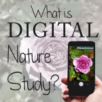 What do you get when Google and Charlotte Mason collide? Digital Nature Study!